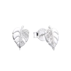 Aros Costilla de Adan